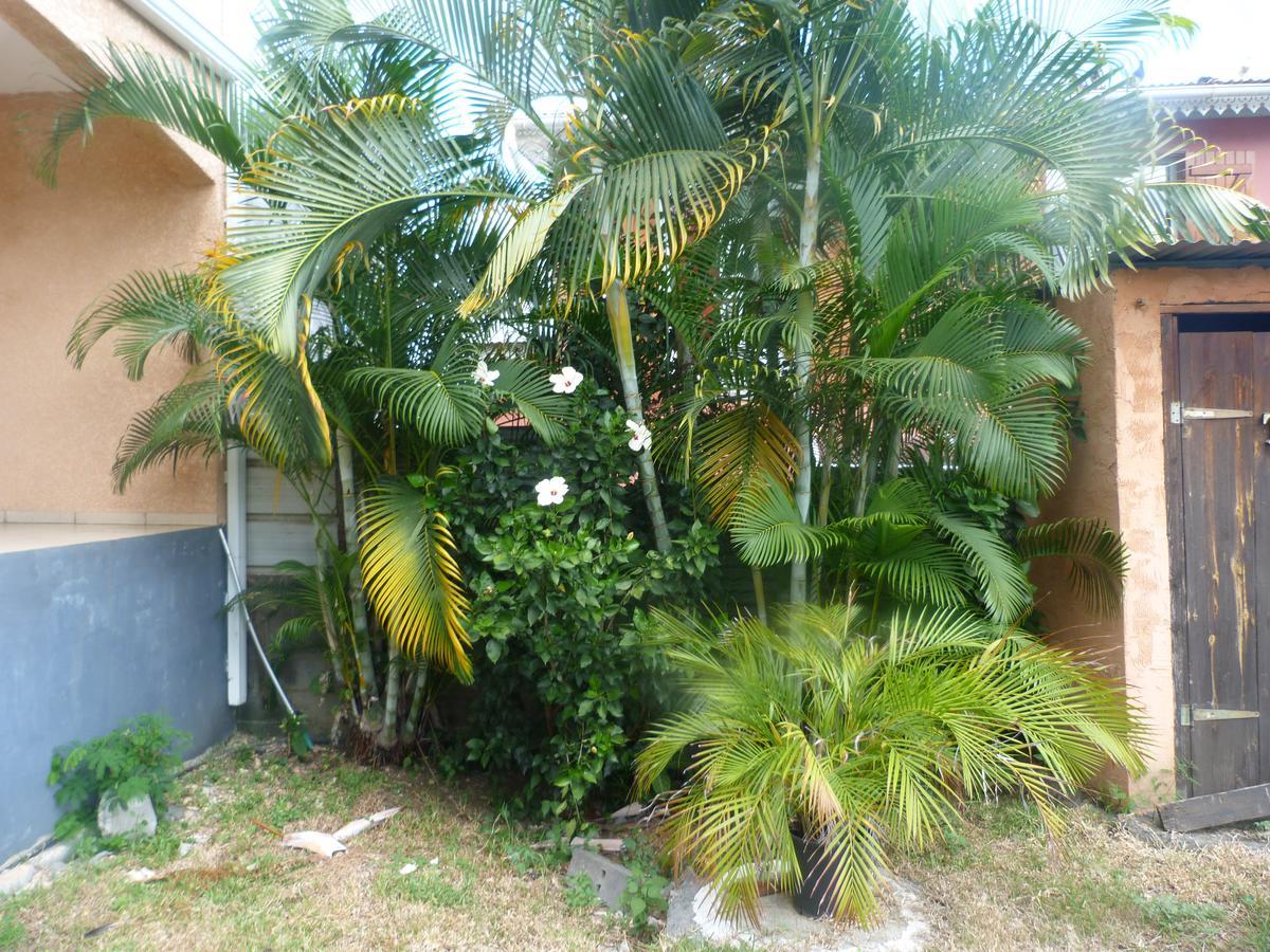 Bed and Breakfast Chez Chouchou Riviere Saint-Louis Esterno foto